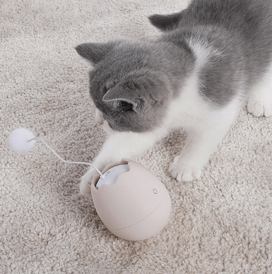 Playful Paws Interactive Cat Toy