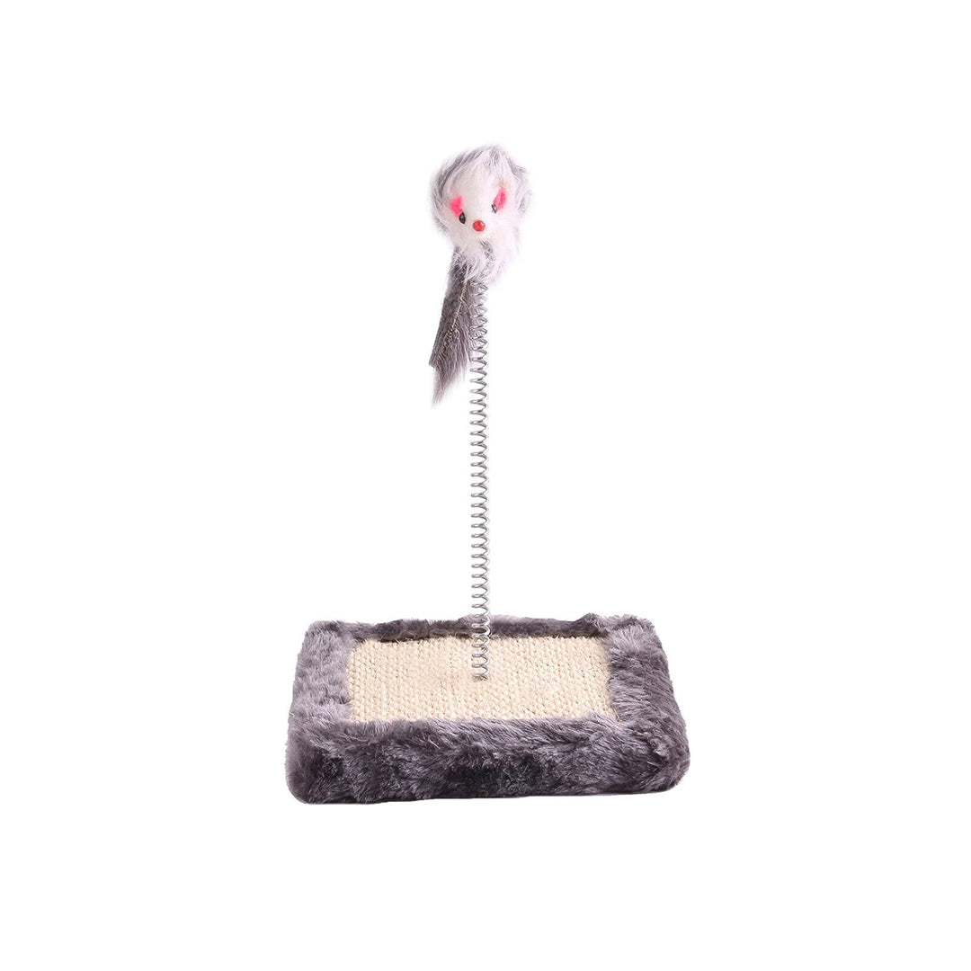 360 Degrees Swing Cat Playing Toy