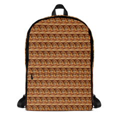 Boys School Backpack