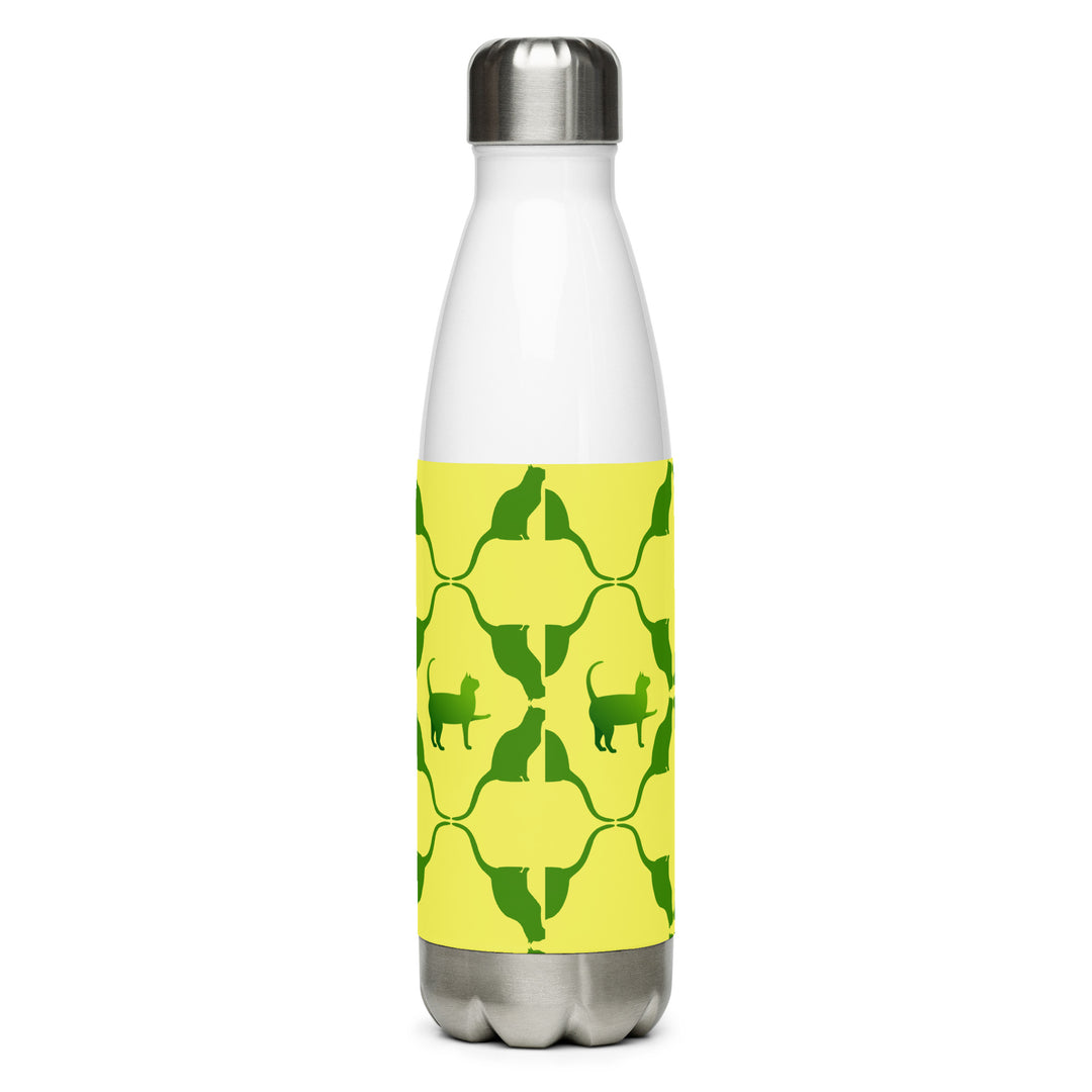 Stainless steel water bottle